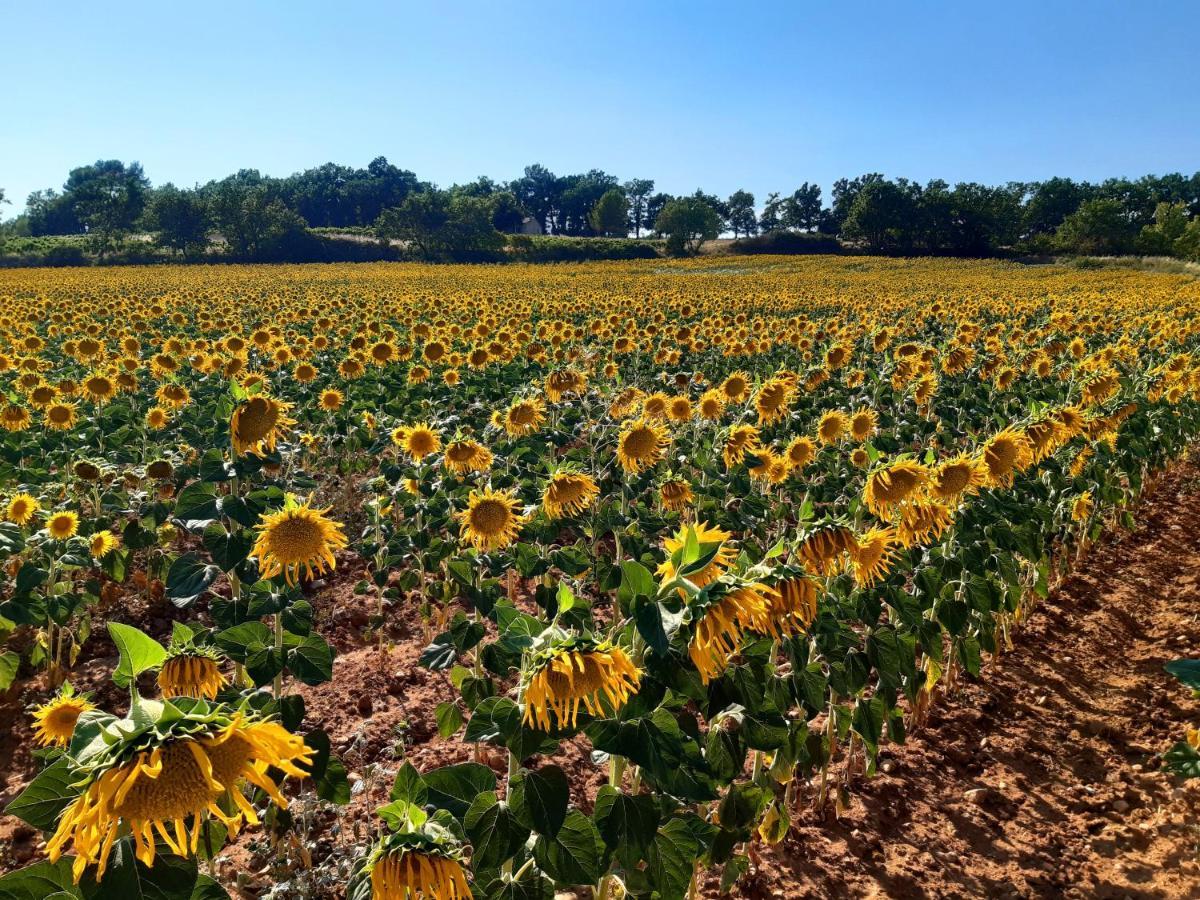 La Vita Dolce, Luberon Grambois Екстер'єр фото