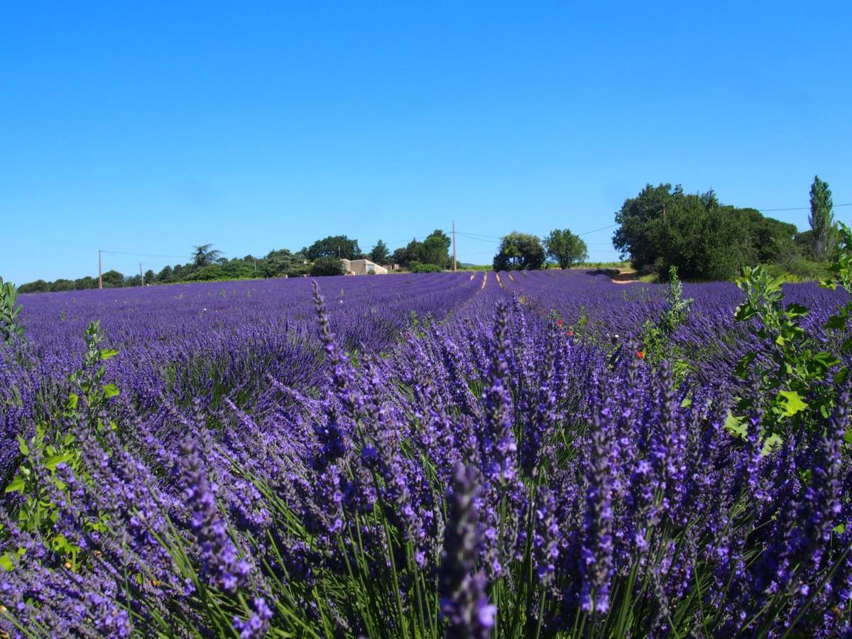 La Vita Dolce, Luberon Grambois Екстер'єр фото