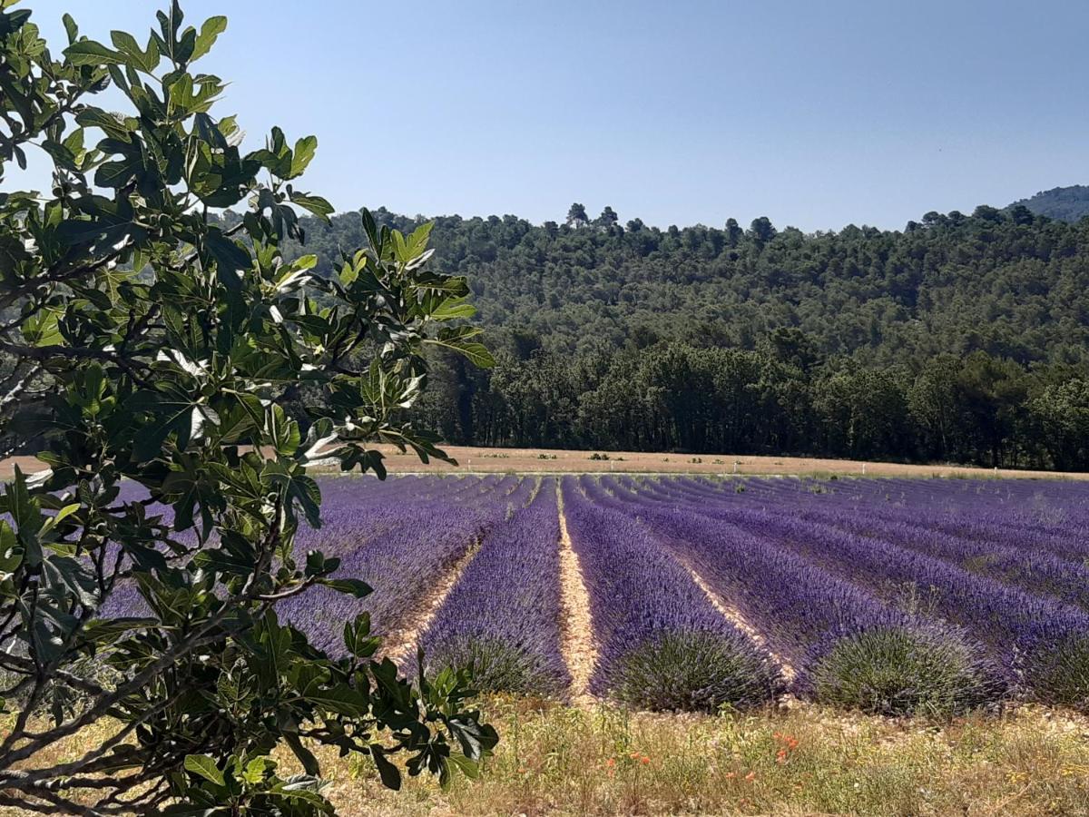 La Vita Dolce, Luberon Grambois Екстер'єр фото