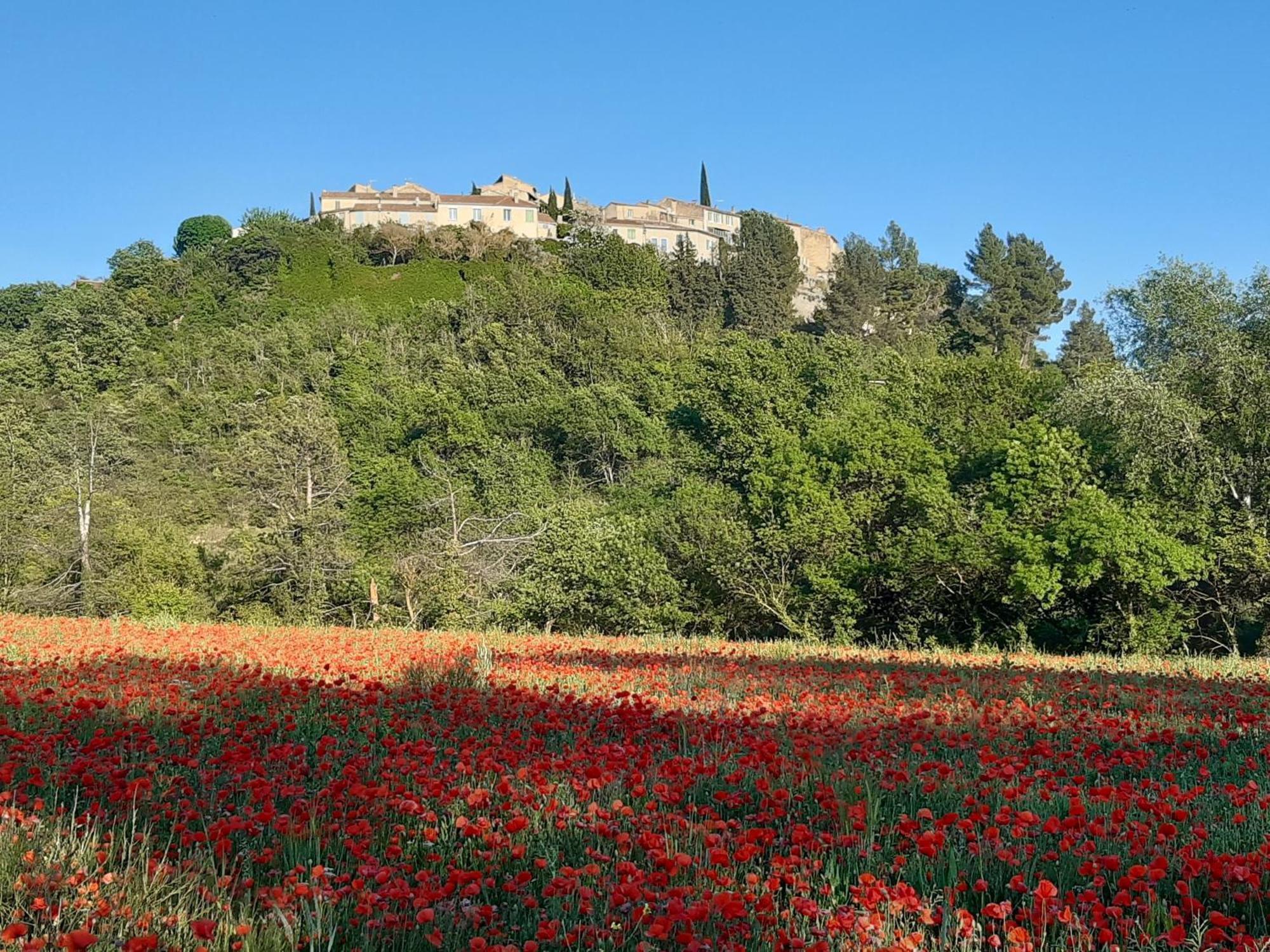 La Vita Dolce, Luberon Grambois Екстер'єр фото